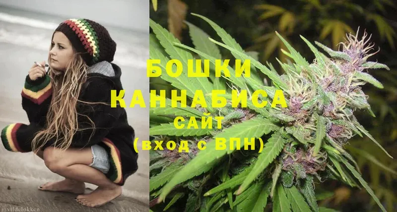 Бошки марихуана THC 21%  Красновишерск 